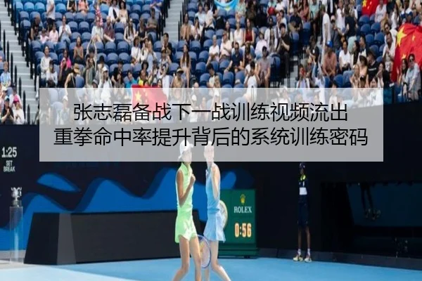 张志磊备战下一战训练视频流出 重拳命中率提升背后的系统训练密码
